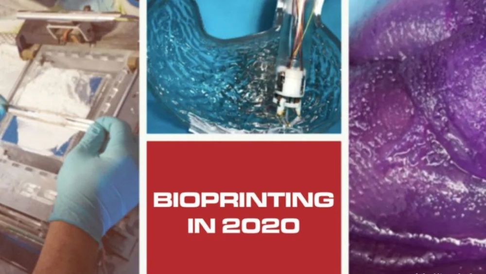 2021 World Conference on Exchange and Development of Assisted Reproductive Technology