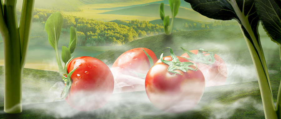 夏季吃什么蔬菜好？你真的吃对了么？