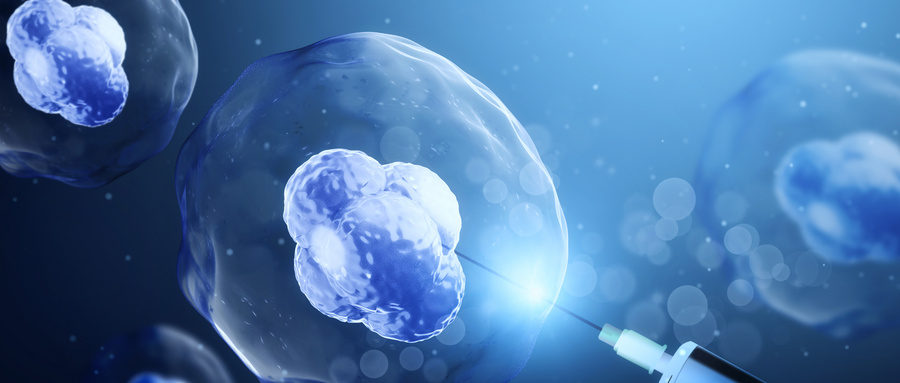 关于间充质干细胞是不是干细胞的思考？