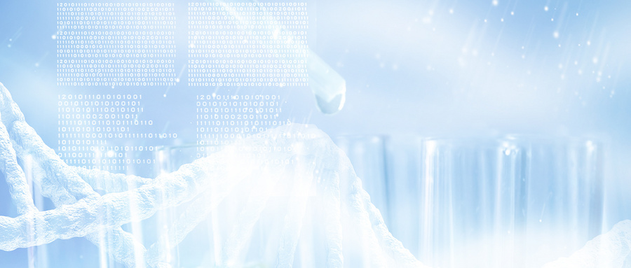 柬埔寨三代试管婴儿需经历的六个阶段！