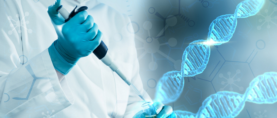 未来已来：高端医疗模式的创新与革新