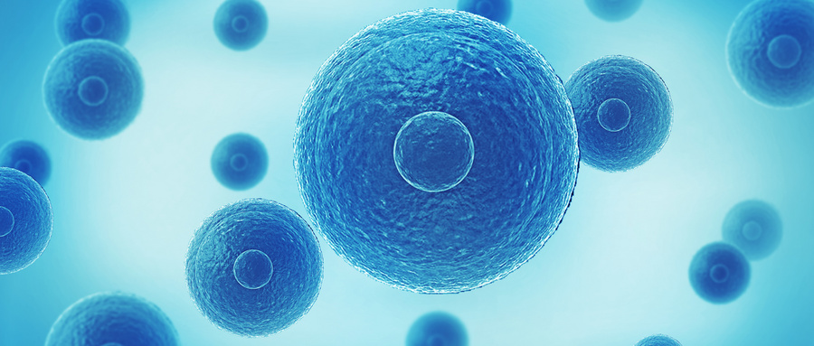 细胞生物免疫治疗：激活人体内的抗癌奇兵