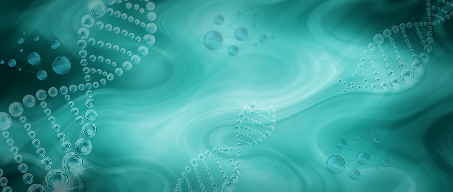 酵素产品：是健康助手还是营销噱头？科学解读它的真实作用