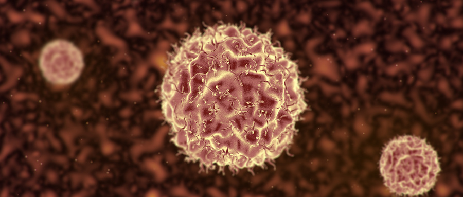 端粒检测真能预测寿命？科学家带你认识衰老密码
